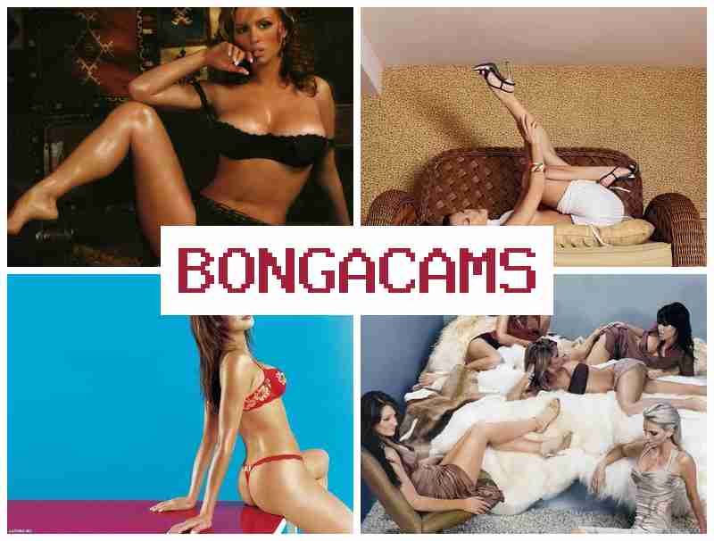 BNGACAMS 🔵 Big Boobs Mature Anal Sex