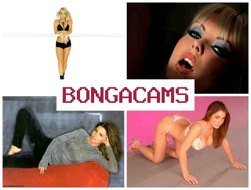BINGA CAMS 🔵 Anal Sex 19+