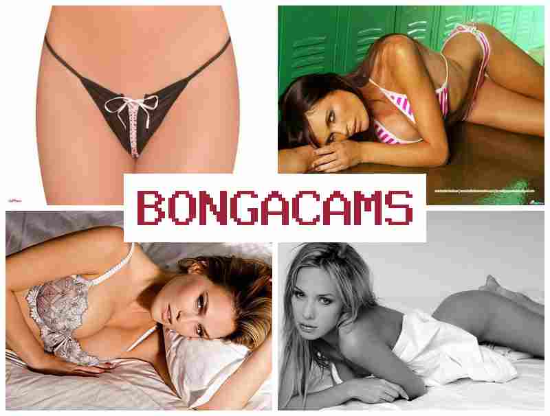 B9NGA CAMS █ Anal GIF Porn Sex