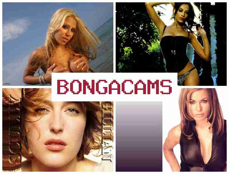 BONGGACAMS 💕 BDSM Sex VK