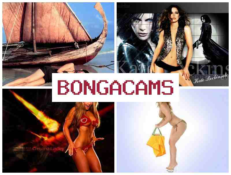 BONGA CQMS ☑️ Ass Sex Porn Video