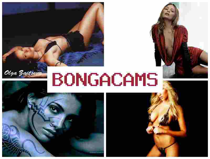 BONGA CWMS 🔵 Art Sex Big Tits