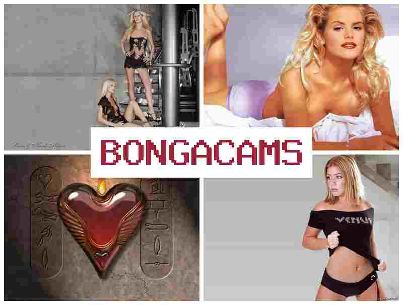BONGA CAMD 📺 Hollywood Sex 18+