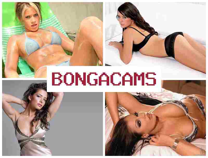 OBNGACAMS 💓 Adult Sex Video COM