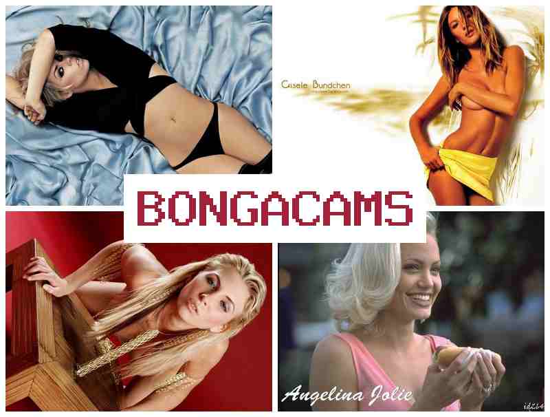 BINGACAMS 💗 Big Tits Orgy Anal Sex