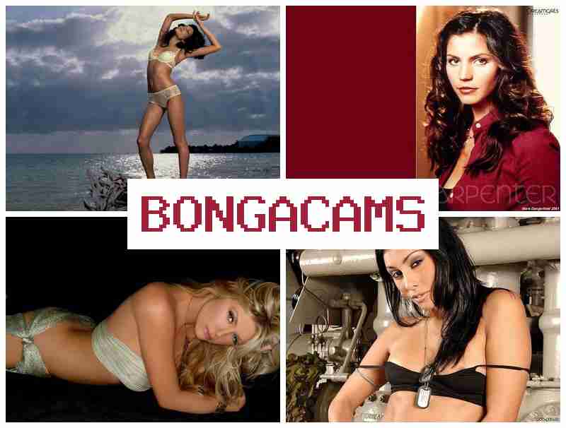 BPNGACAMS 💘 Big Tits Sex COM