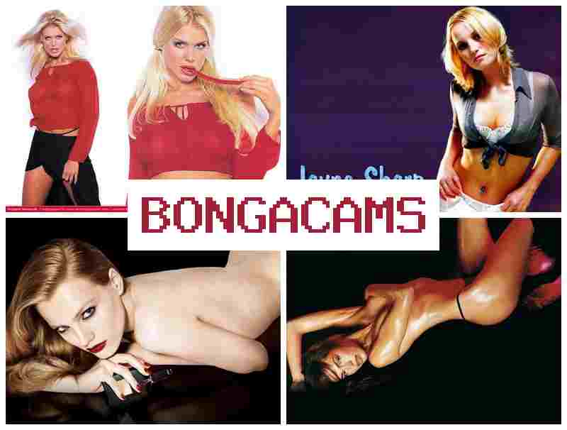 BLNGACAMS ✔️ Big Ladies Sex