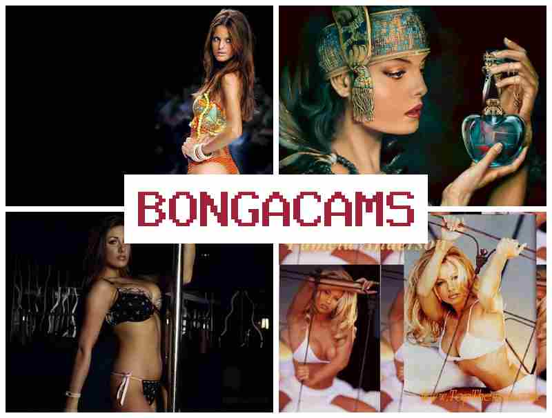 BOBGACAMS 🔷 Big Tits Slut Sex