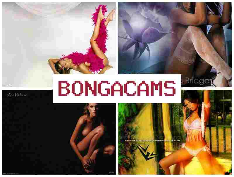 BONHACAMS ☑️ 365 Sex Scene