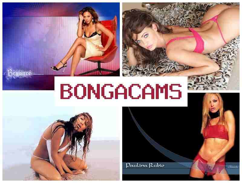 BONGQCAMS 💜 Big Body Sex