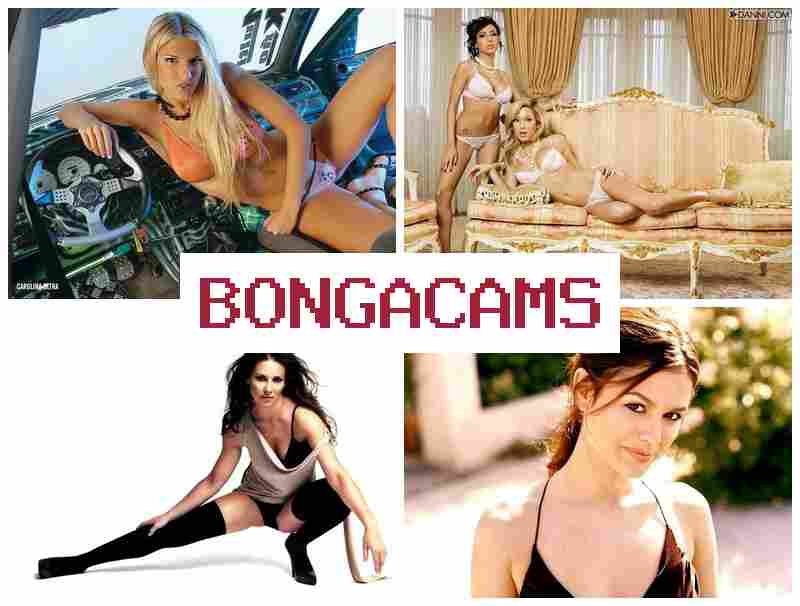 BONGAFAMS 💖 18+ Sex 365