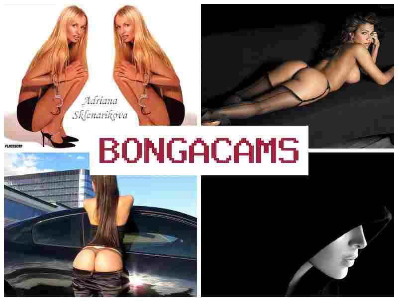 BONGACWMS 💚 Big Tits Uncensored Sex