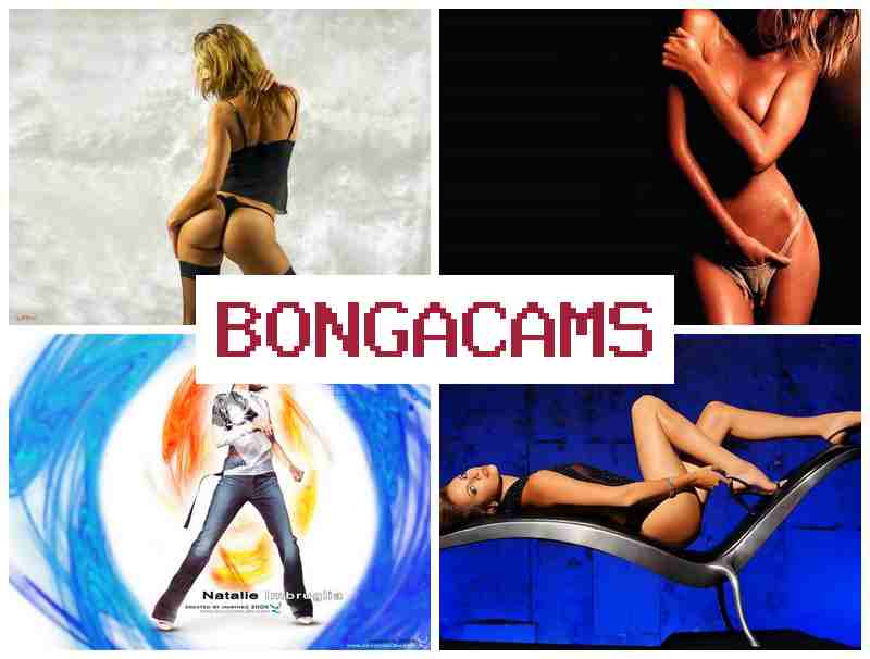 BONGACZMS 🔵 Handjob Wife Sex