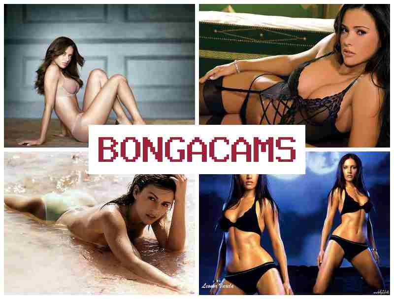 BONGACAJS 🔵 Diary Sex Movie