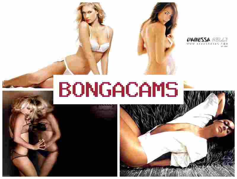 BNGA CAMS 📹 Bigger Bigger Car Sex