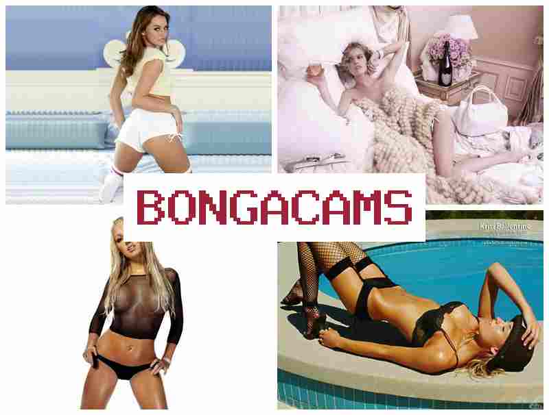 BONGACAS ▓ Arabian Sex Telegram