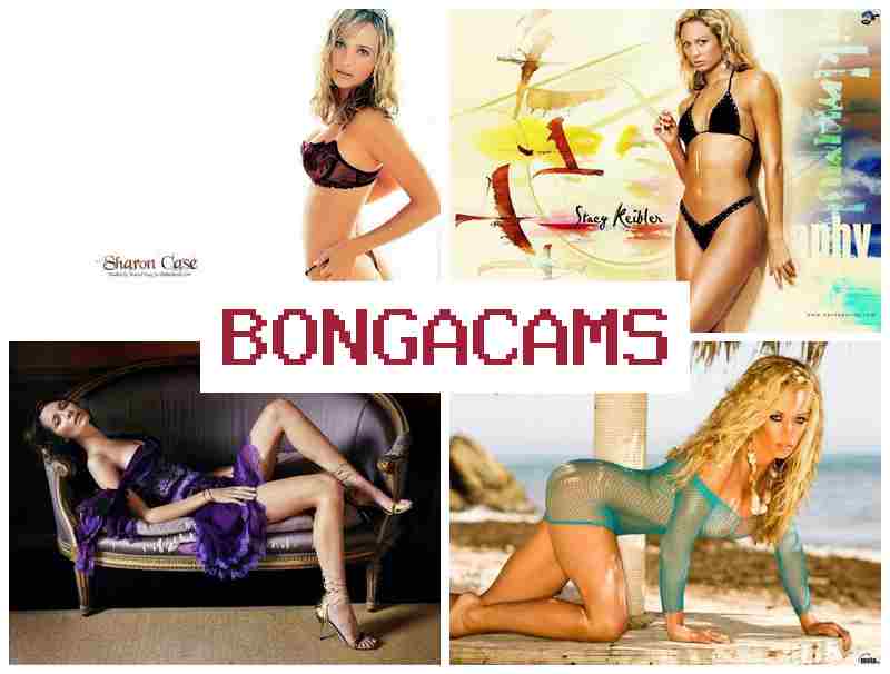 BONGA CAS 🆕 America Hot Sex