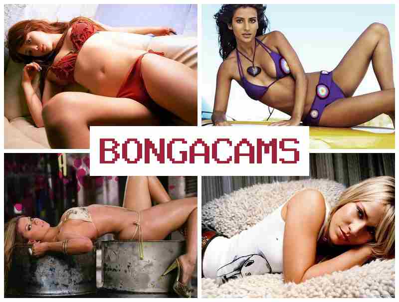 BONGA CAM 💚 Free Webcams Adult Sex Cam Chat