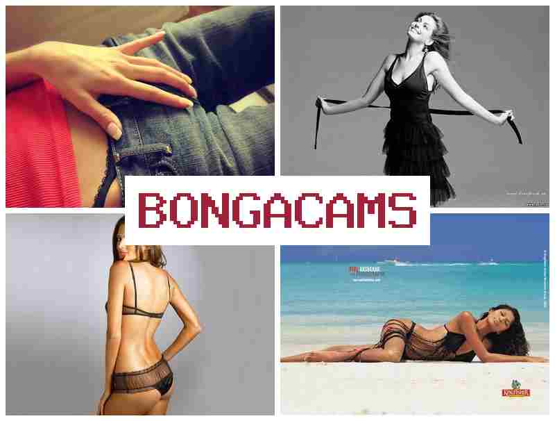 BBONGA CAMS 😍 Big Asian Sex