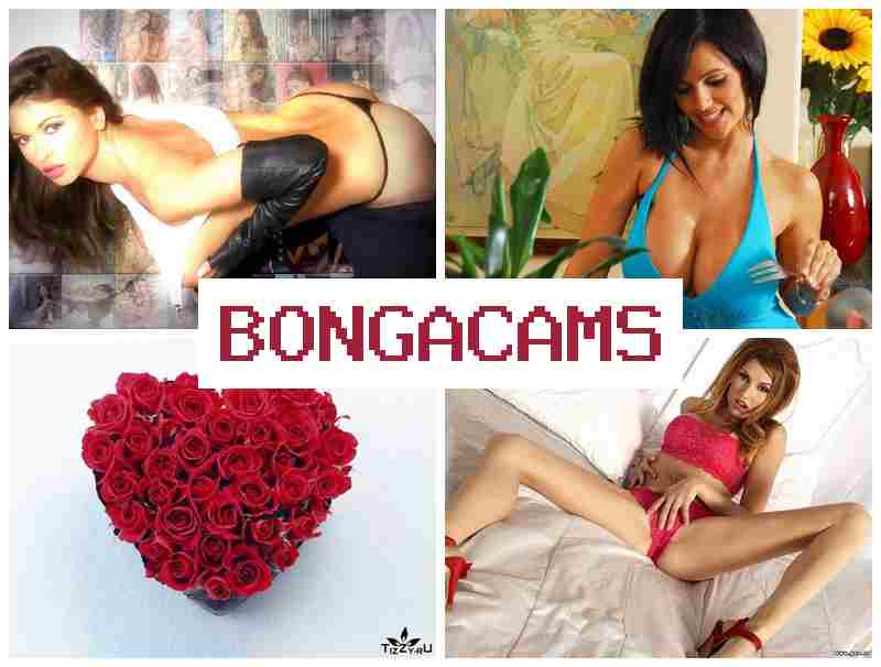 BONGA CAAMS 🆗 Boobs Tits Milk Sex