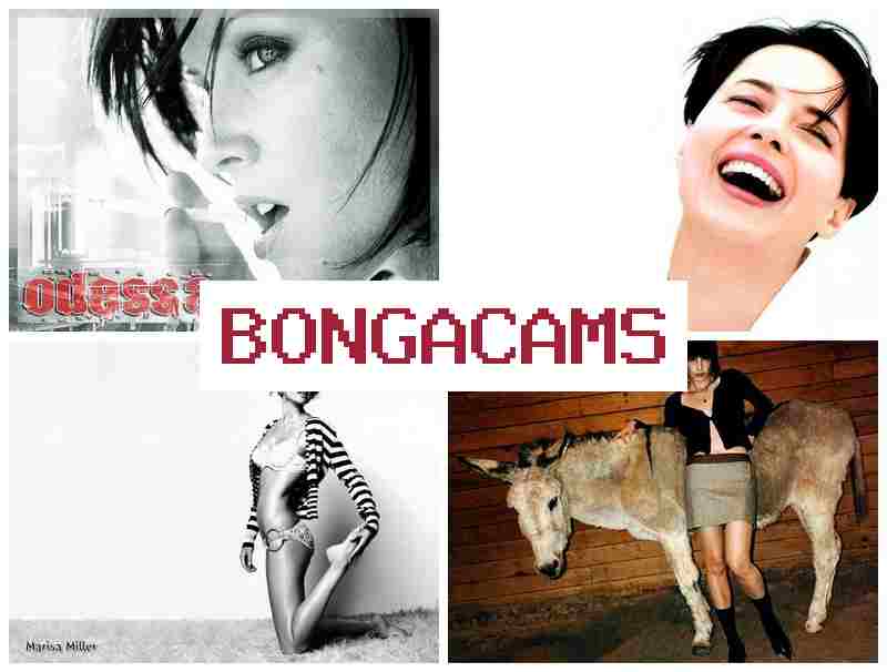 BONGA CAMMS ✔️ HD Sex Time