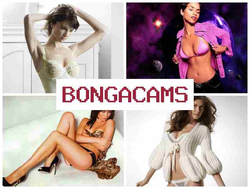 BBONGACAMS 💓 HD Orgasms Anal Sex