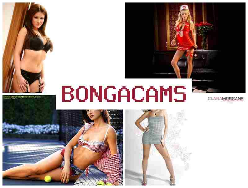 BONGA CASM 🔻 Hi Japanese Sex